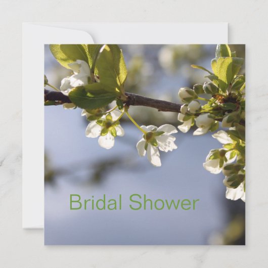 Witte kersen bloeiende tak vrijgezellenfeest kaart (Achterkant)