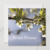 Witte kersen bloeiende tak vrijgezellenfeest kaart (Achterkant)