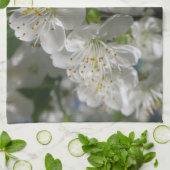 witte kersen bloeit in het voorjaar tegen de blauw theedoek (Gevouwen)