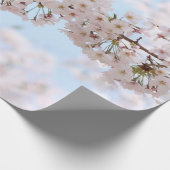 Witte kersen bloesem onder heldere blauwe hemel in cadeaupapier (Hoek)