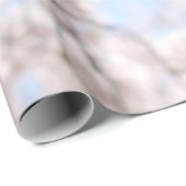 Witte kersen bloesem onder heldere blauwe hemel in cadeaupapier (Rol Hoek)