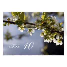 Witte kersen die een etentafelkaart maken.