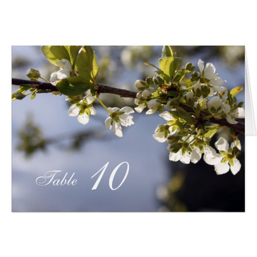 Witte kersen die een etentafelkaart maken. (Voorkant Horizontaal)