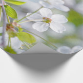 Witte Kersenbloesem Cadeaupapier (Hoek)