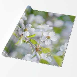 Witte Kersenbloesem Cadeaupapier
