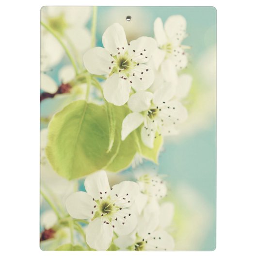 Witte Kersenbloesem Monogram Initiaal Clip Board Klembord (Achterkant)