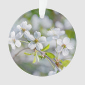 Witte Kersenbloesem Ornament (voorkant)