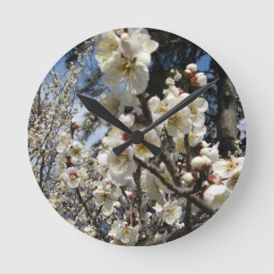 Witte kersenbloesem / Sakura / サクラ(桜) Ronde Klok