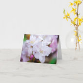 Witte Kersenbloesem Wenskaart Kaart (Gele Bloem)