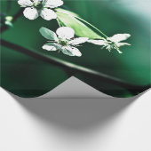 Witte Kersenbloesems Cadeaupapier (Hoek)