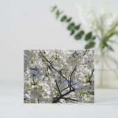 Witte Kersenbloesems: Tokio Briefkaart (Staand voorkant)