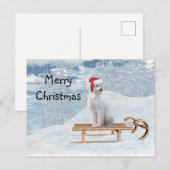 Witte kerst met poedel briefkaart (Voorkant / Achterkant)
