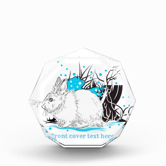 witte kerst Rabbit Hare Fotoblokken (Voorkant)