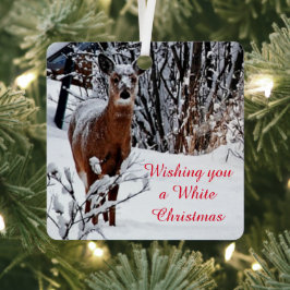 Witte Kerst Witstaarthertenen ornament