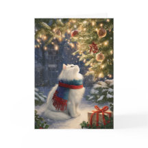 Witte Kerstkat