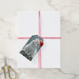 Witte Kerstkat met een kerstmuts Cadeaulabel