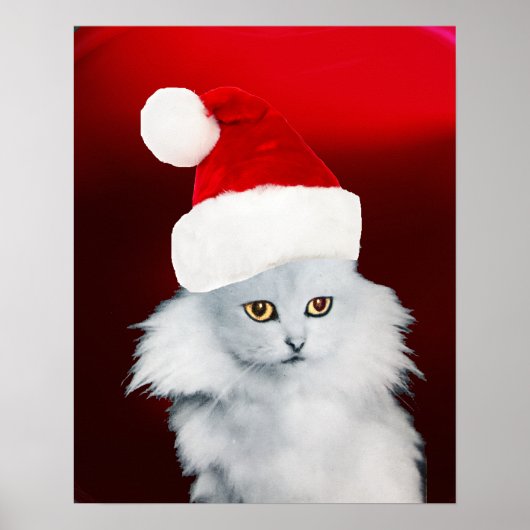Witte Kerstkat met kerstman hoed, Rode Robijn Poster (Voorkant)