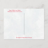 Witte Kerstmis Hilton Head Style. South Carolina Feestdagenkaart (Achterkant)