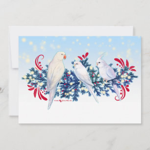 Witte Kerstmis Papegaaien Feestdagenkaart