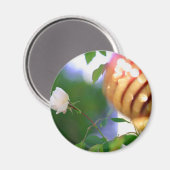 Witte kerstRoos Magneet (Voorkant / Achterkant)