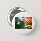 Witte kerstRoos Ronde Button 5,7 Cm (Voorkant /achterkant)