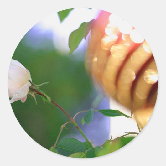 Witte kerstRoos Ronde Sticker (Voorkant)