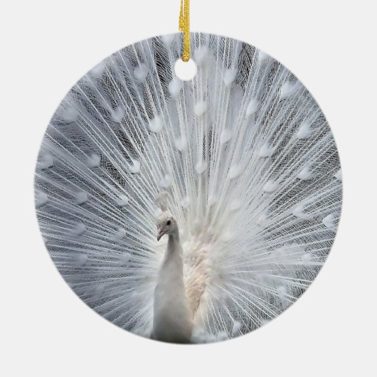 Witte kerstwitte pacock-sieraden keramisch ornament (Achterkant)