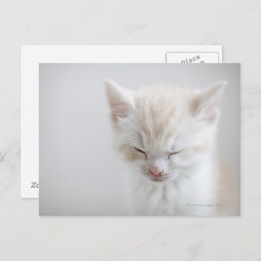 Witte keuken briefkaart (Voorkant / Achterkant)