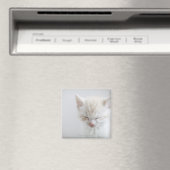 Witte keuken magneet (Insitu (Vaatwasser))