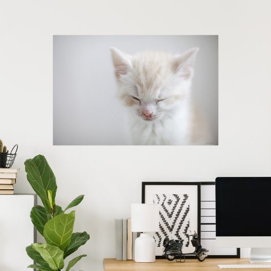 Witte keuken poster (Thuiskantoor)