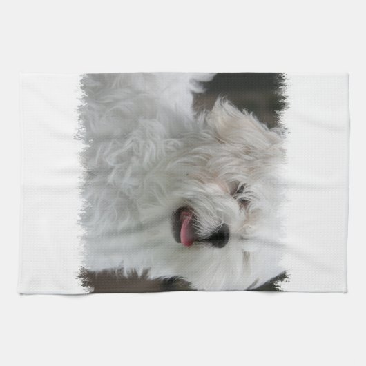 Witte keukenhanddoek van Maltezen (Horizontaal)