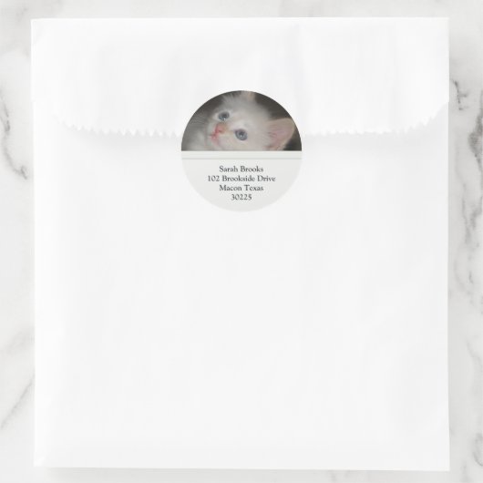 Witte kitten Adresetiketten Ronde Sticker (Tas)