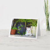 Witte kitten en tuin Planten Kaart (Voorkant)