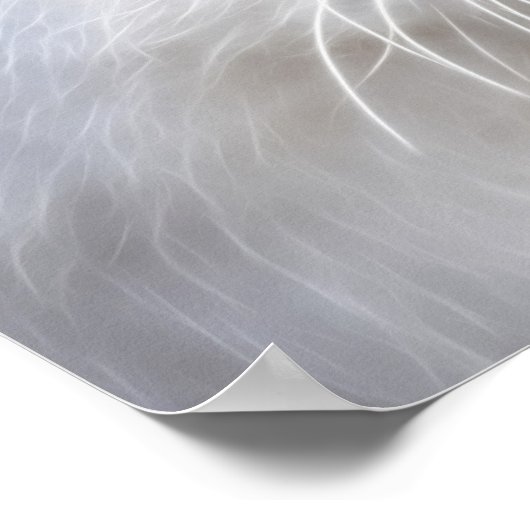 Witte kitten en vlinder poster (Hoek)