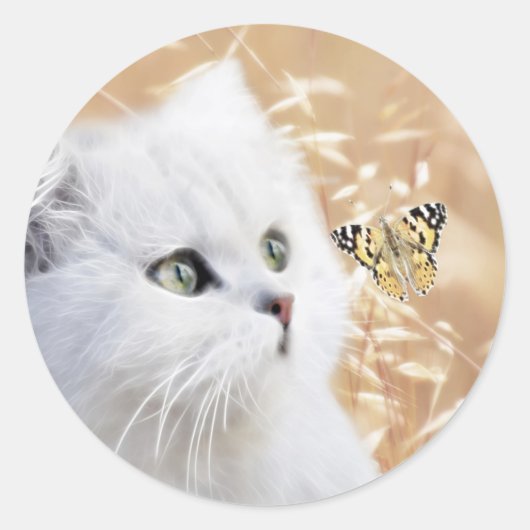 Witte kitten en vlinder ronde sticker (Voorkant)