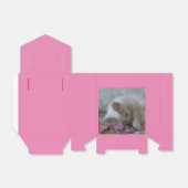 Witte Kitten Favor Dozen Bedankdoosjes (Uitgevouwen)