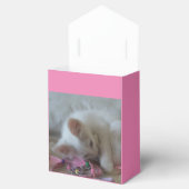 Witte Kitten Favor Dozen Bedankdoosjes (Geopend)