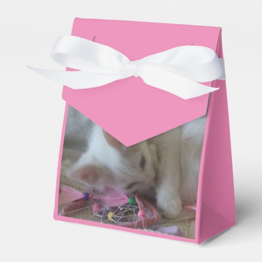 Witte Kitten Favor Dozen Bedankdoosjes (Voorkant Zijde)
