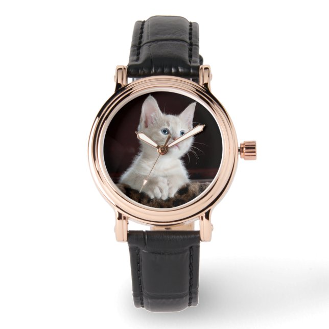 Witte Kitten Fotosjabloon Dierenvrienden Horloge (Voorkant)