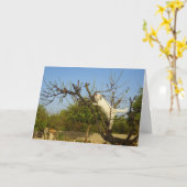 Witte kitten in amandelboom kaart (Gele Bloem)