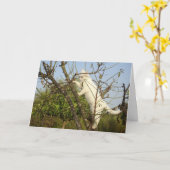 Witte kitten in amandelboom Kaart (Gele Bloem)