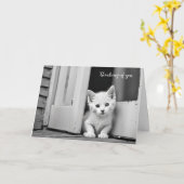 Witte kitten in deuropening denken aan je kaart (Gele Bloem)