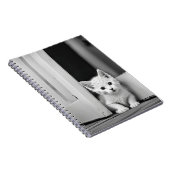 Witte kitten in deuropening notitieboek (Rechterzijde)