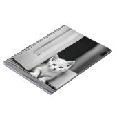 Witte kitten in deuropening notitieboek (Linkerzijde)