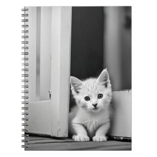 Witte kitten in deuropening notitieboek