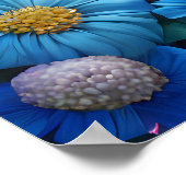 Witte kitten in een mystieke fantasie poster (Hoek)