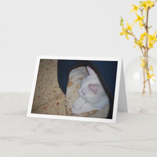 Witte kitten in kattenbed kaart (Gele Bloem)