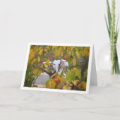 Witte kitten in Persimmon Tree Kaart (Voorkant)