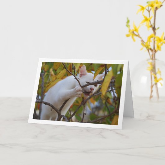 Witte kitten in Persimmon Tree Kaart (Gele Bloem)