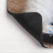 Witte kitten in verflade muismat (Hoek)